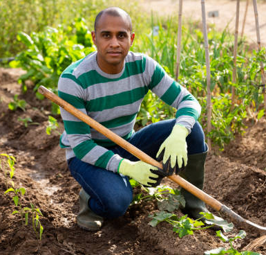 Mike Smith Profile Picture